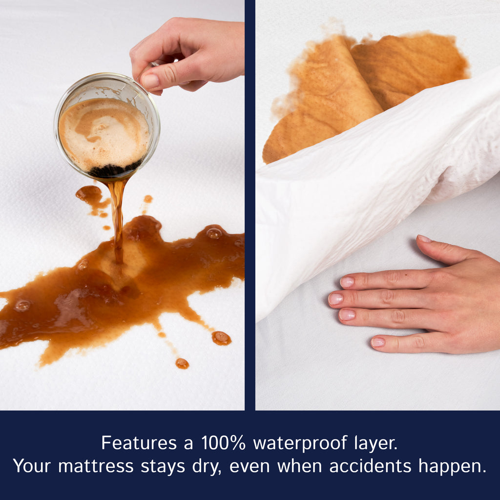Cotton Terry Zippered Mattress Protector - Bedbug proof Waterproof Encasement